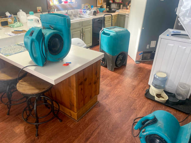 Best 24-hour water damage restoration  in Fort Hood, TX