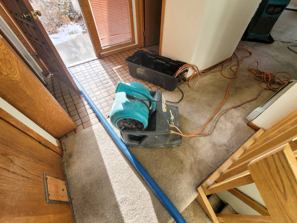 Best Water damage restoration near me  in Fort Hood, TX