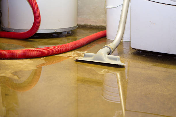 Best Local water damage restoration  in Fort Hood, TX