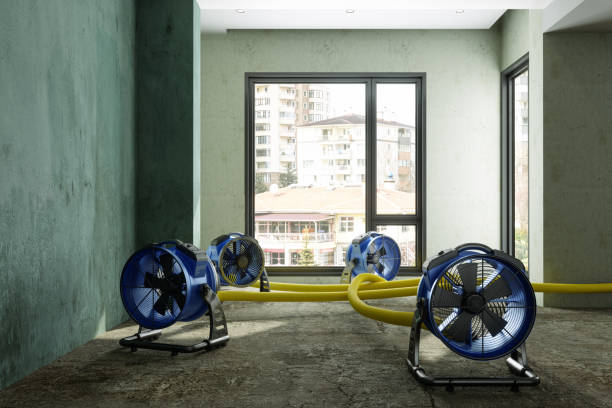 Best Water damage cleanup near me  in Fort Hood, TX